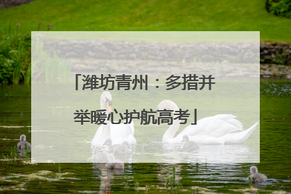 潍坊青州：多措并举暖心护航高考