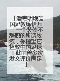 潘粤明炮轰国足教练伊万：一个装傻不辞职的所谓教练，你指望它拯救中国足球！此前曾多次发文评价国足