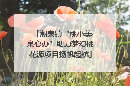 潮泉镇“桃小美·泉心办”助力梦幻桃花源项目扬帆起航