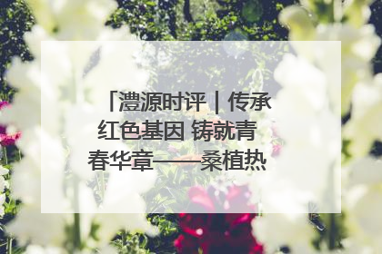 澧源时评｜传承红色基因 铸就青春华章——桑植热土上的青春长征