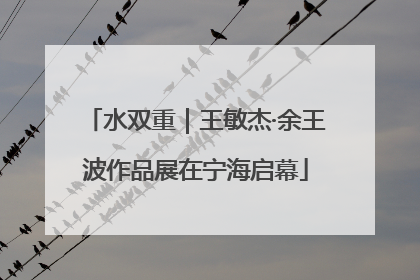 水双重｜王敏杰·余王波作品展在宁海启幕