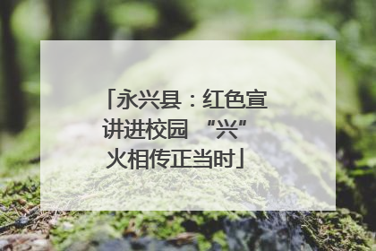 永兴县：红色宣讲进校园 “兴”火相传正当时
