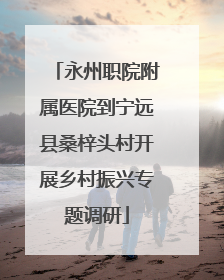 永州职院附属医院到宁远县桑梓头村开展乡村振兴专题调研
