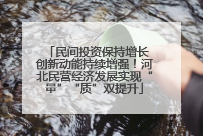 民间投资保持增长 创新动能持续增强！河北民营经济发展实现“量”“质”双提升