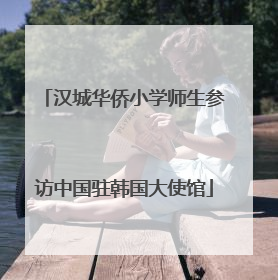 汉城华侨小学师生参访中国驻韩国大使馆
