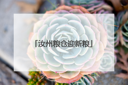 汝州粮仓迎新粮