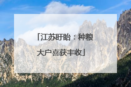 江苏盱眙：种粮大户喜获丰收