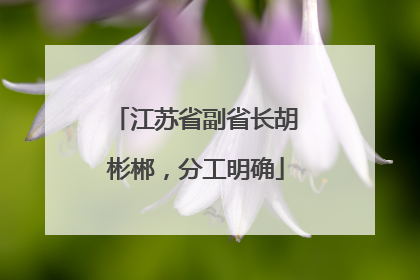 江苏省副省长胡彬郴，分工明确