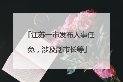 江苏一市发布人事任免，涉及副市长等