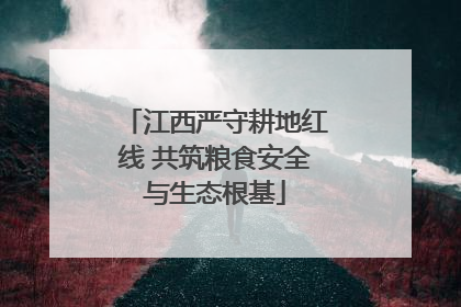 江西严守耕地红线 共筑粮食安全与生态根基