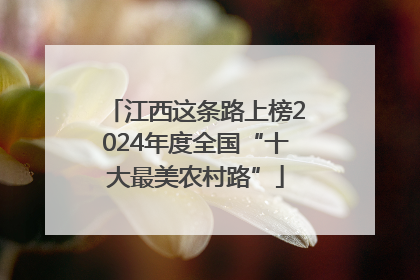 江西这条路上榜2024年度全国“十大最美农村路”