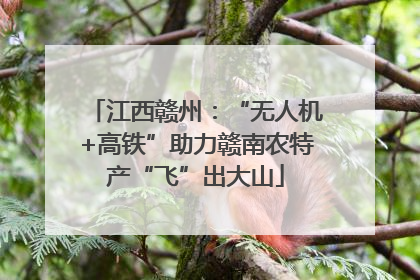 江西赣州：“无人机+高铁”助力赣南农特产“飞”出大山
