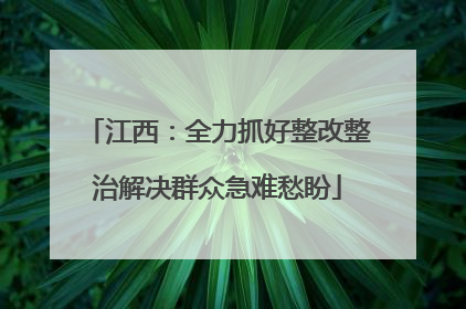 江西：全力抓好整改整治解决群众急难愁盼