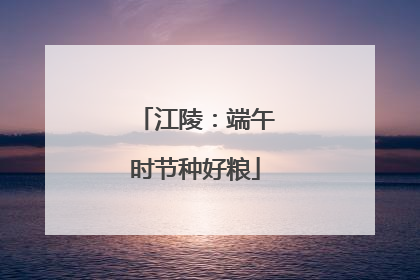江陵：端午时节种好粮