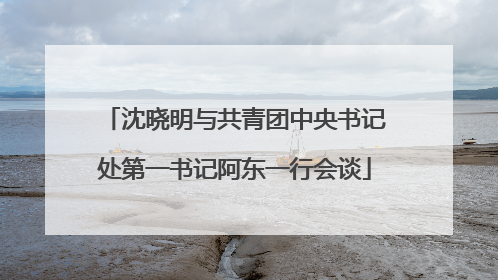 沈晓明与共青团中央书记处第一书记阿东一行会谈