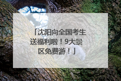 沈阳向全国考生送福利啦！9大景区免费游！