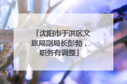 沈阳市于洪区文旅局副局长彭勃，职务有调整