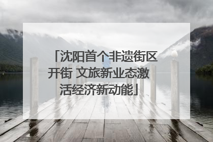 沈阳首个非遗街区开街 文旅新业态激活经济新动能
