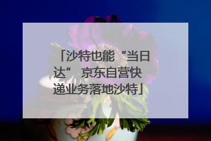 沙特也能“当日达” 京东自营快递业务落地沙特