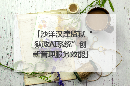 沙洋汉津监狱“狱政AI系统”创新管理服务效能