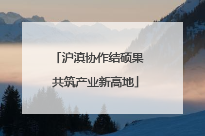 沪滇协作结硕果 共筑产业新高地
