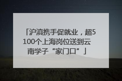 沪滇携手促就业，超5100个上海岗位送到云南学子“家门口”