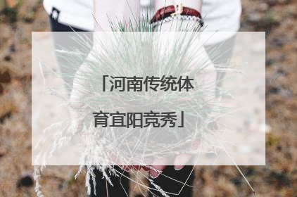 河南传统体育宜阳竞秀