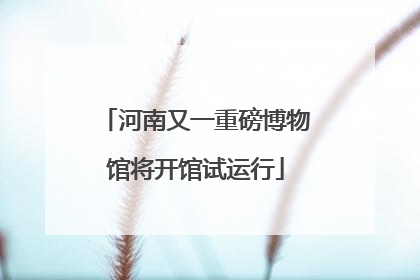 河南又一重磅博物馆将开馆试运行