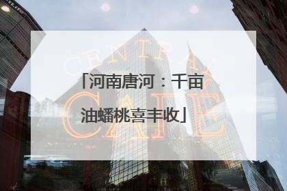 河南唐河：千亩油蟠桃喜丰收