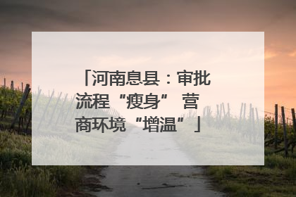 河南息县：审批流程“瘦身” 营商环境“增温”