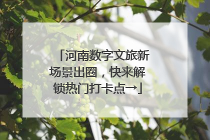 河南数字文旅新场景出圈，快来解锁热门打卡点→