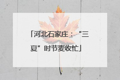 河北石家庄：“三夏”时节麦收忙