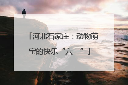 河北石家庄：动物萌宝的快乐“六一”