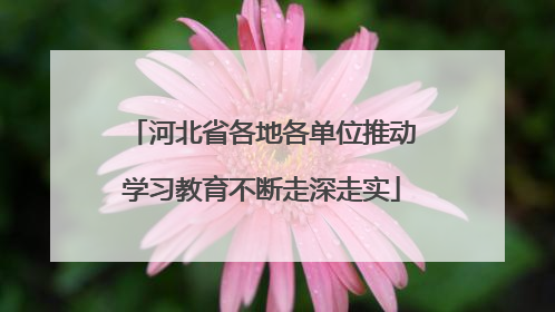 河北省各地各单位推动学习教育不断走深走实