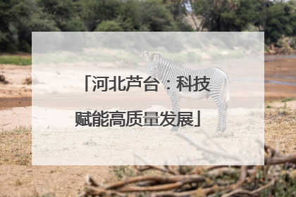 河北芦台：科技赋能高质量发展
