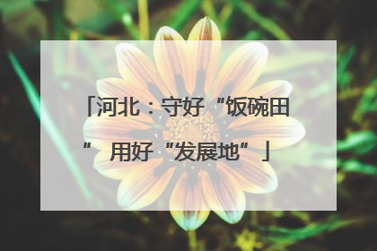 河北：守好“饭碗田” 用好“发展地”