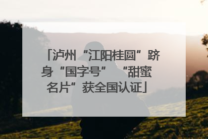 泸州“江阳桂圆”跻身“国字号” “甜蜜名片”获全国认证