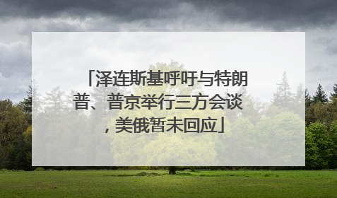 泽连斯基呼吁与特朗普、普京举行三方会谈，美俄暂未回应