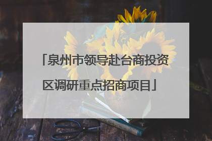 泉州市领导赴台商投资区调研重点招商项目