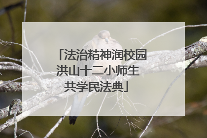 法治精神润校园 洪山十二小师生共学民法典