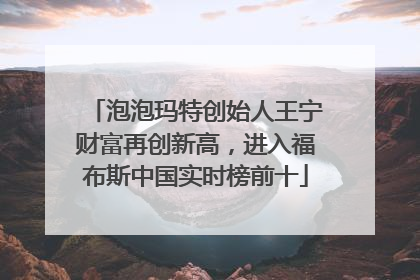 泡泡玛特创始人王宁财富再创新高，进入福布斯中国实时榜前十