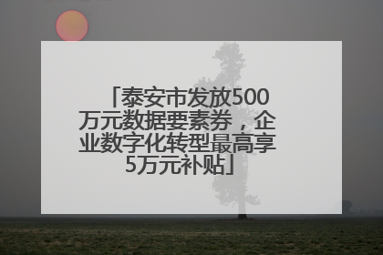 泰安市发放500万元数据要素券，企业数字化转型最高享5万元补贴