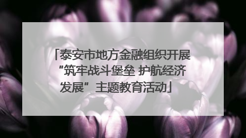 泰安市地方金融组织开展“筑牢战斗堡垒 护航经济发展”主题教育活动