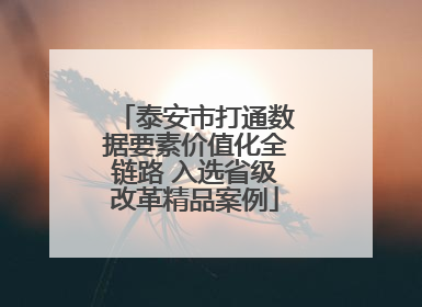 泰安市打通数据要素价值化全链路 入选省级改革精品案例