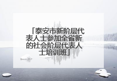 泰安市新阶层代表人士参加全省新的社会阶层代表人士培训班