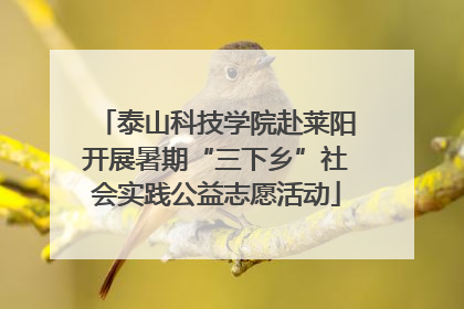 泰山科技学院赴莱阳开展暑期“三下乡”社会实践公益志愿活动