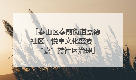 泰山区泰前街道嘉德社区：悦享文化盛宴，“嘉”持社区治理