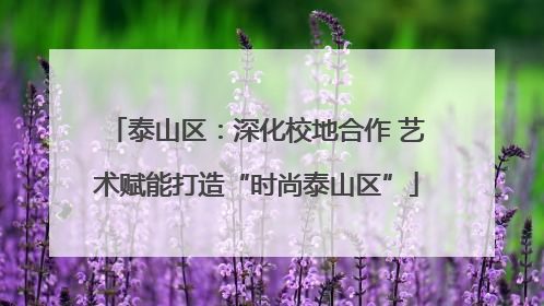 泰山区：深化校地合作 艺术赋能打造“时尚泰山区”