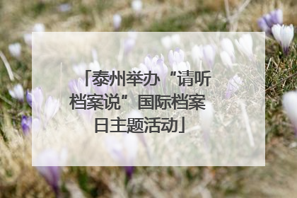 泰州举办“请听档案说”国际档案日主题活动
