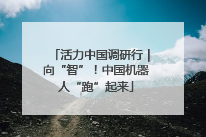 活力中国调研行｜向“智”！中国机器人“跑”起来